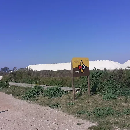 Santa Pola, En Playa Del Tamarit Con Piscina. *